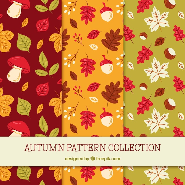 Free Vector autumn pattern collection