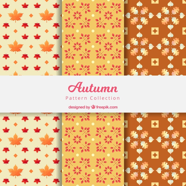 Free vector autumn pattern collection