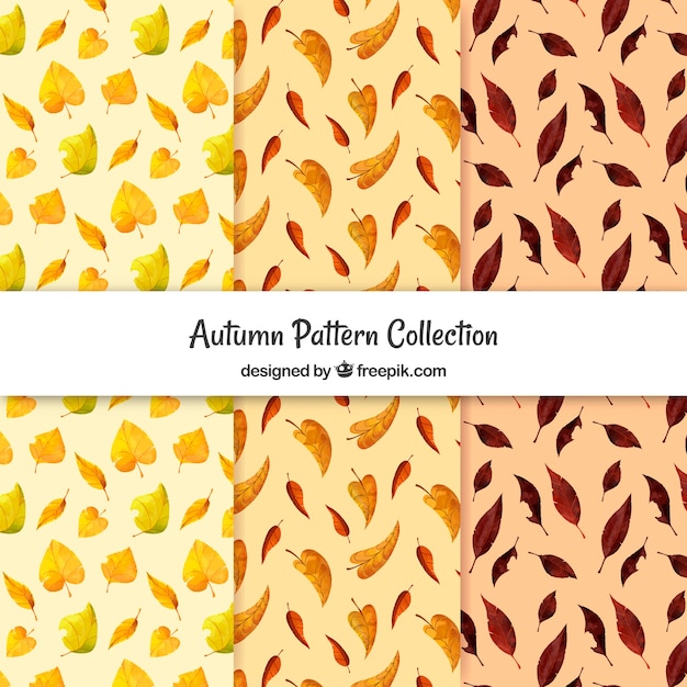 Free vector autumn pattern collection