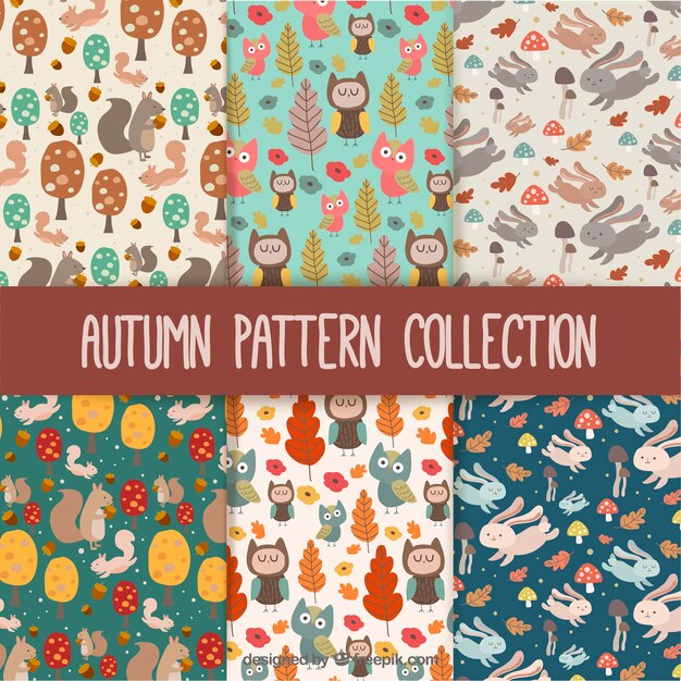 Autumn pattern collection