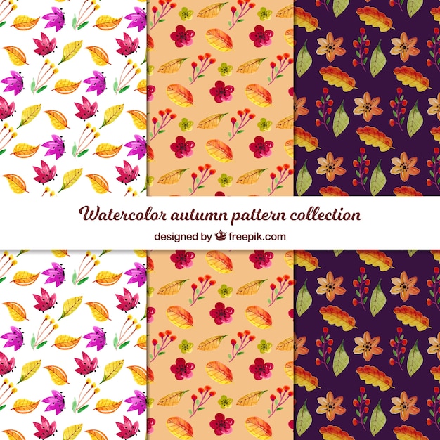 Autumn pattern collection