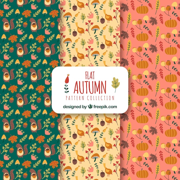 Free vector autumn patterns collection in flat style