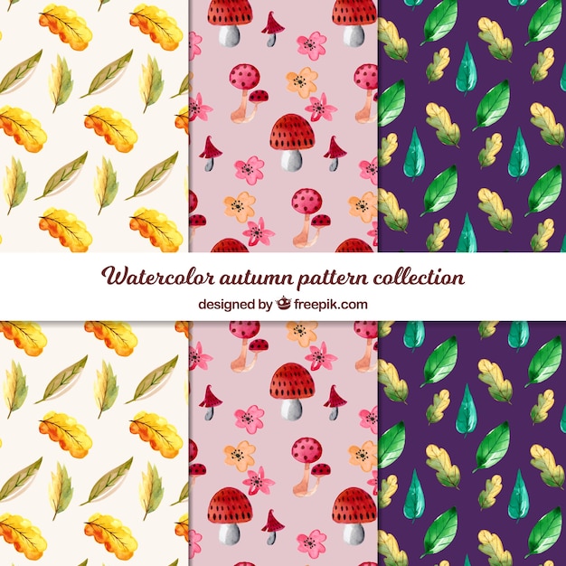 수채화 스타일의 가을 패턴 컬렉션