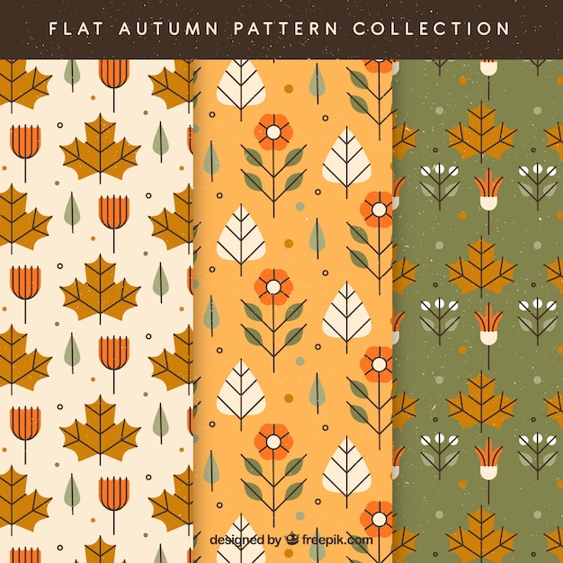 Autumn patterns collection with colorful leaves