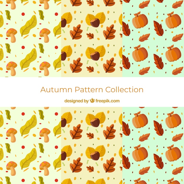 Autumn patterns collection with colorful leaves