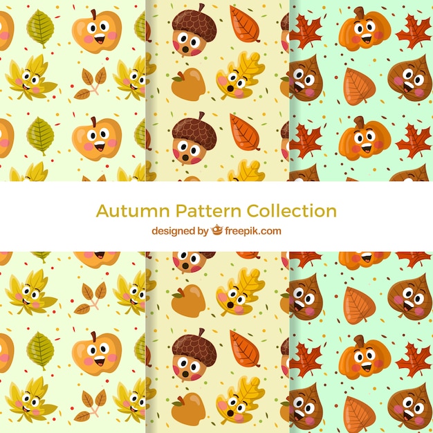 Autumn patterns collection with colorful leaves