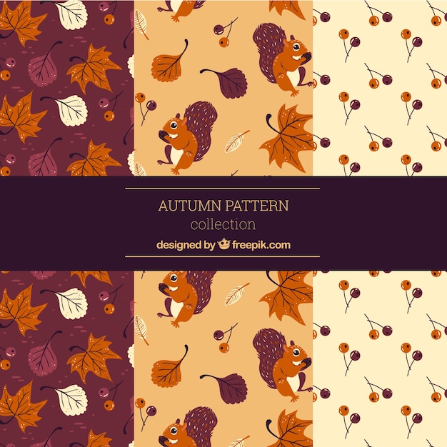 Free vector autumn patterns collection with colorful leaves