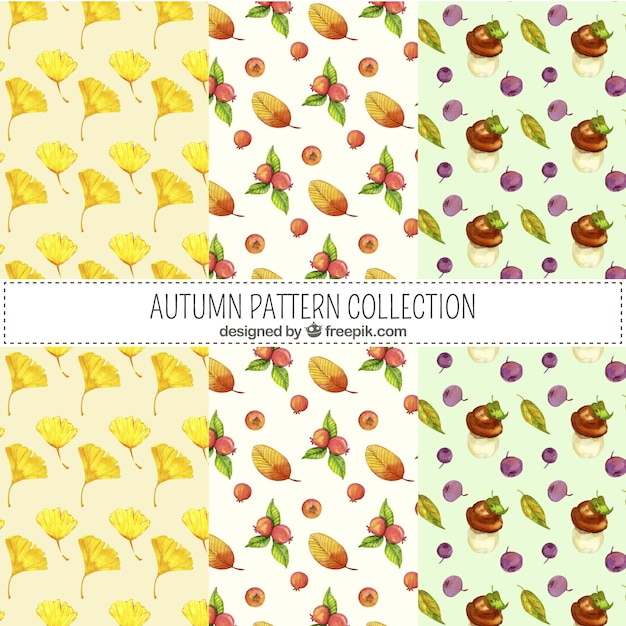 Autumn patterns collection with elements free vector