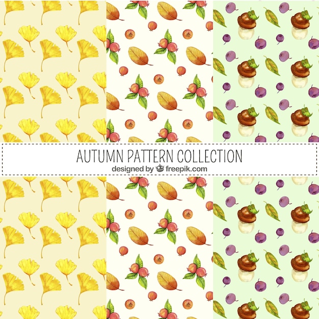 autumn patterns collection with elements free vector