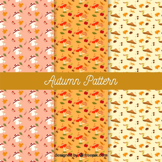 Autumn patterns collection with elements free vector