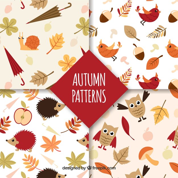 Autumn patterns collection with elements