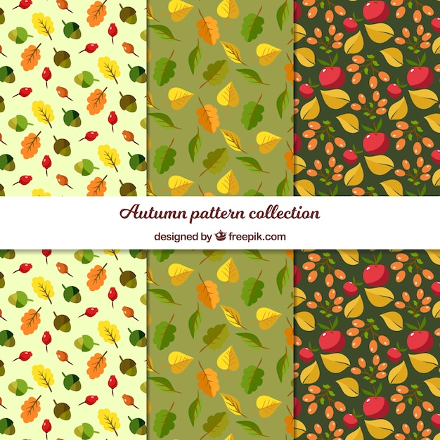 Autumn patterns collection with flat leaves