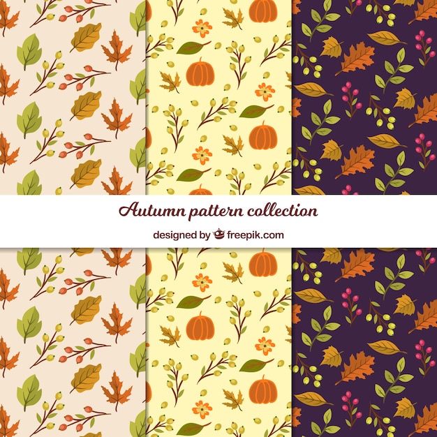 Autumn patterns collection with flat leaves