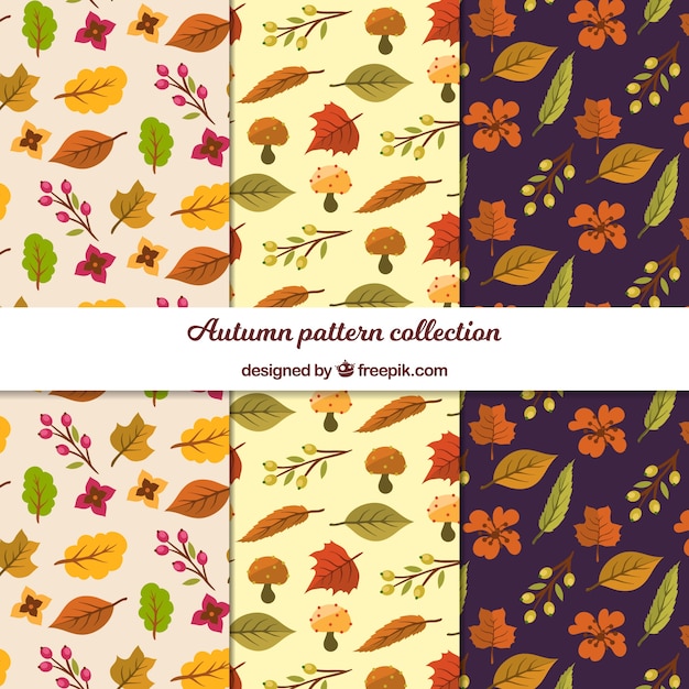 Autumn patterns collection with flat leaves