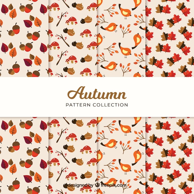 Autumn patterns collection with leaves and elements