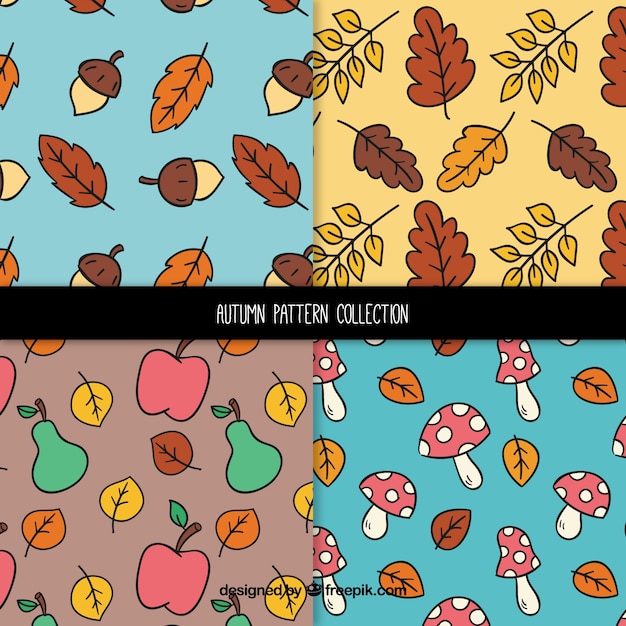 Autumn patterns collection with leaves and fruits