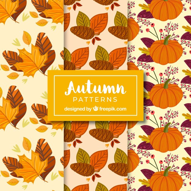 autumn patterns collection with leaves