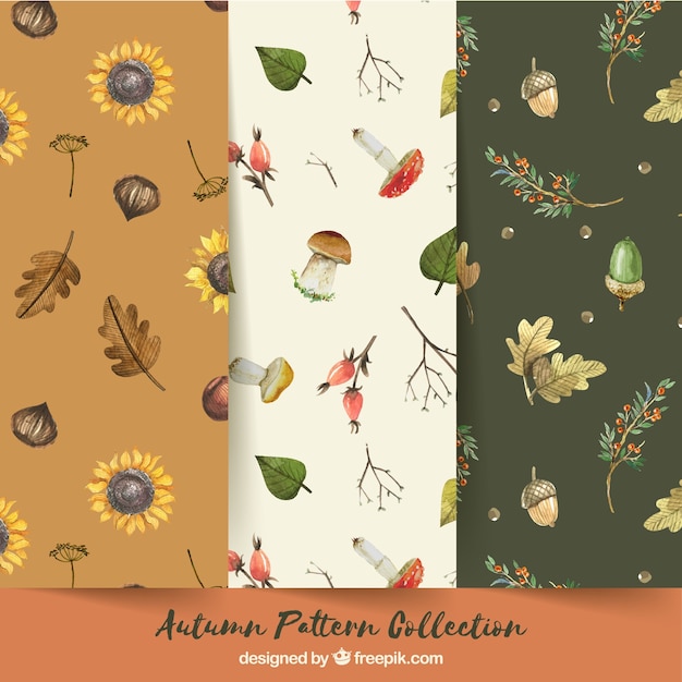 Free vector autumn patterns collection with nature