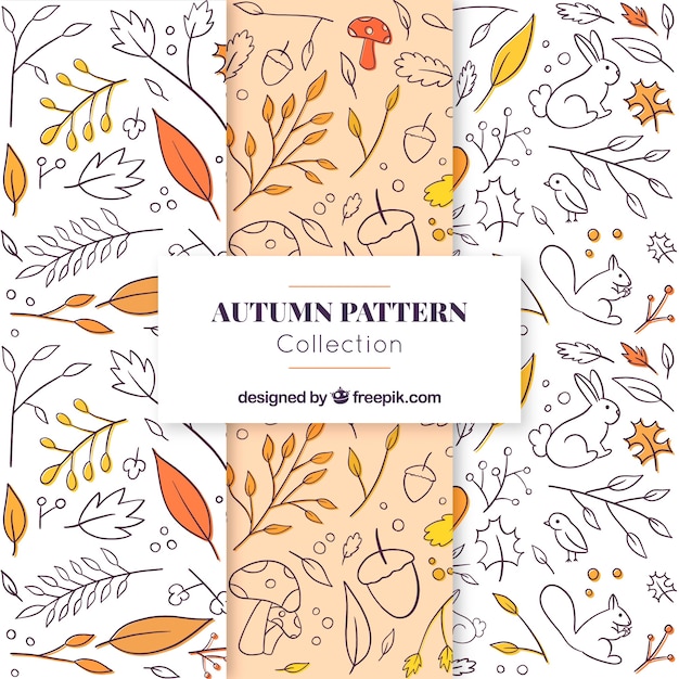 Autumn patterns collection with nature