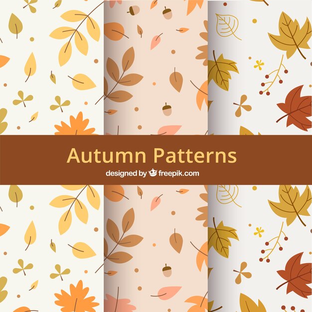 Autumn patterns