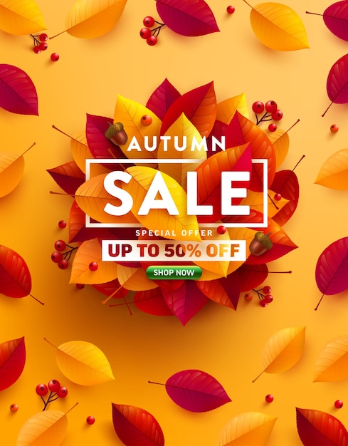 Autumn sale 50% off poster or banner with autumn colorful leaves on yellow