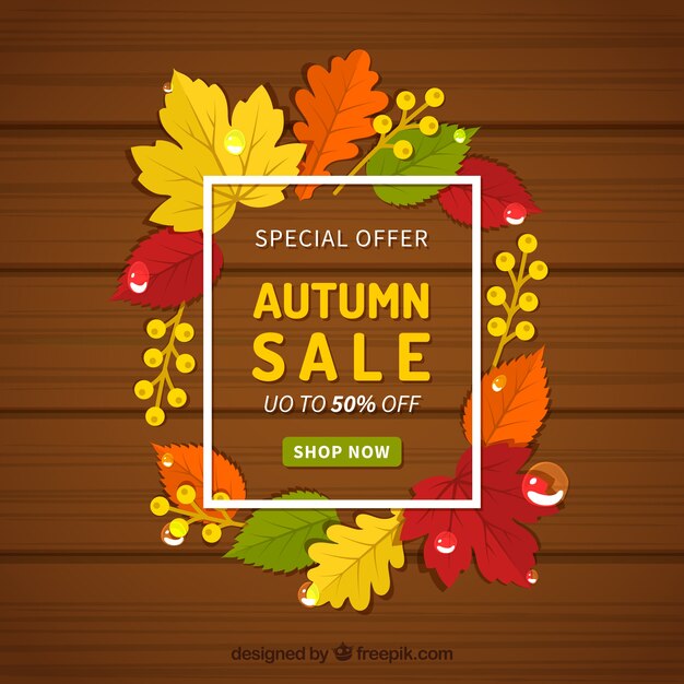 Autumn sale background with frame