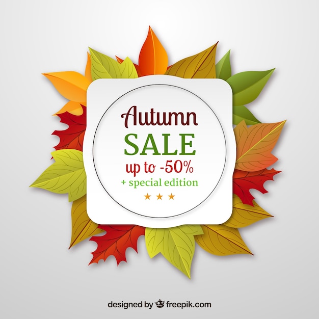 Autumn sale background with realistic leaves