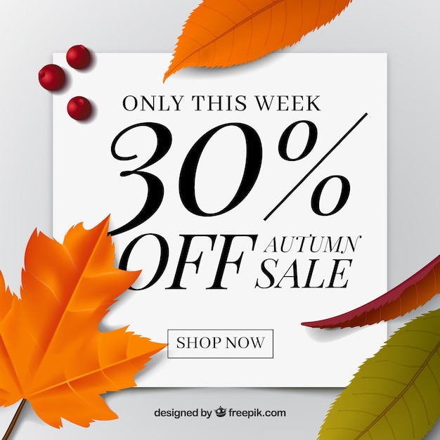 Autumn sale background with realistic leaves