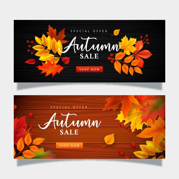 Autumn sale banner collection template