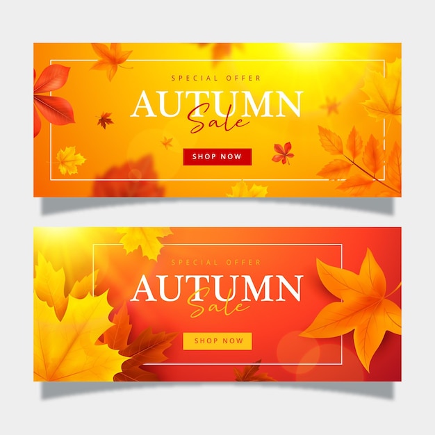 Collezione di banner di vendita autunnale