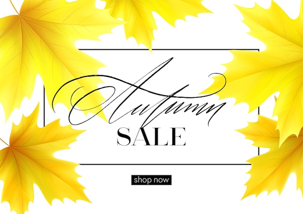 Autumn sale banner with yellow autumn maple leaves