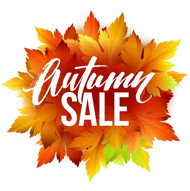 Autumn sale lettering design. Fall leaf. Label, banner template. Vector illustration EPS10