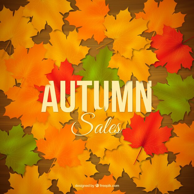 Autumn sales background with leaves