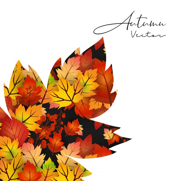 Autumn season design with light background vector