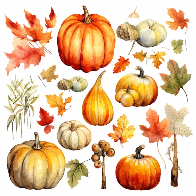 Vettore gratuito fondo bianco di clipart dell'acquerello di ringraziamento di autunno