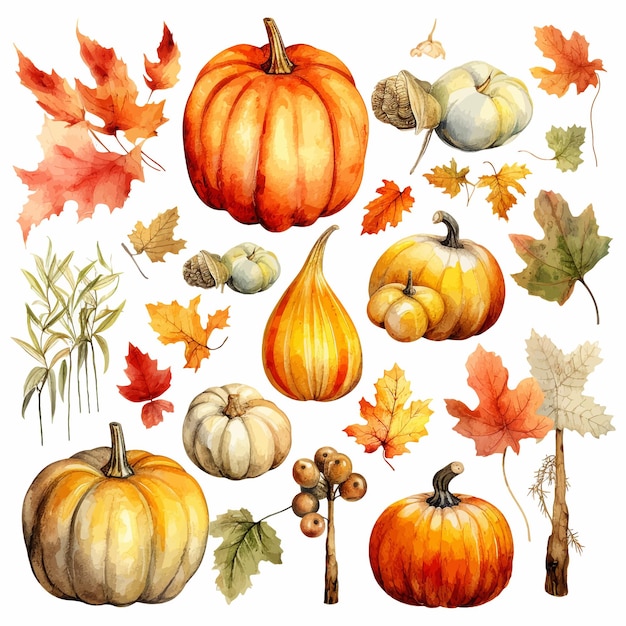 Autumn Thanksgiving watercolor clipart white background