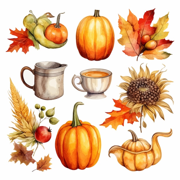 Autumn Thanksgiving watercolor clipart white background