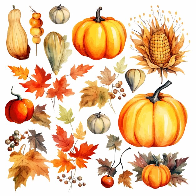 Autumn Thanksgiving watercolor clipart white background