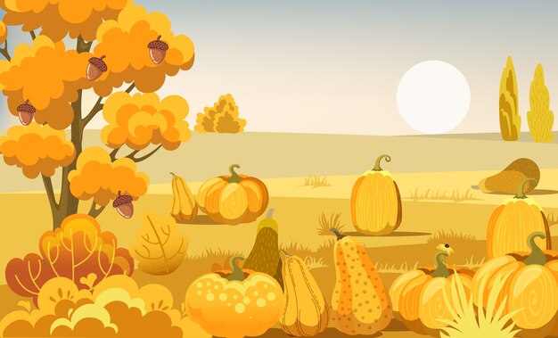 Autumn thematics Field with pumpkins