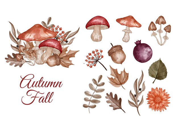 Autumn themed flower, leaves, and mushroom isolated clip-art