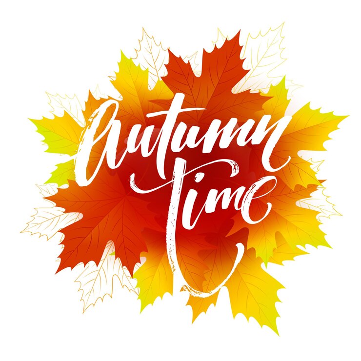 Free Vector autumn time seasonal banner design. fall leaf. vector illustration eps10