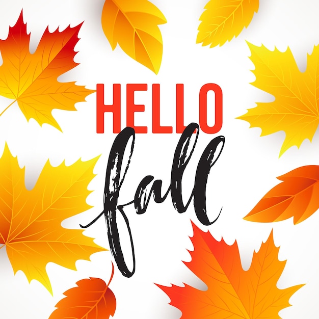 Autumn time seasonal banner design. Fall leaf. Vector illustration EPS10