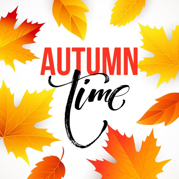 Autumn time seasonal banner design