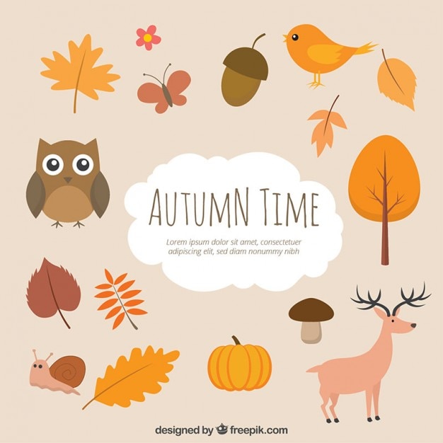 Autumn time