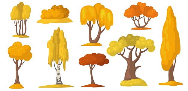 Осенние деревья и кусты с желтой и оранжевой листвой.