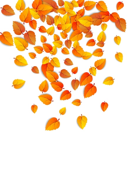 Осенний вертикальный лист фон Золотая падающая листва осенний баннер изолирован на белом Вектор
