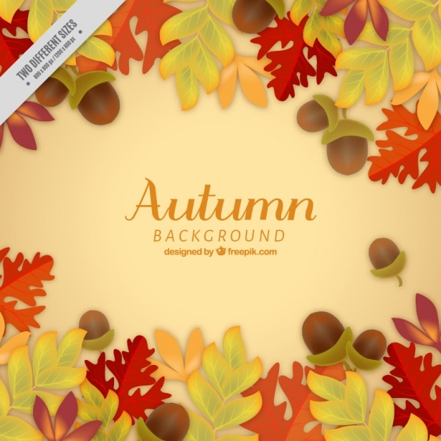 Free vector autumnal background of natural elements