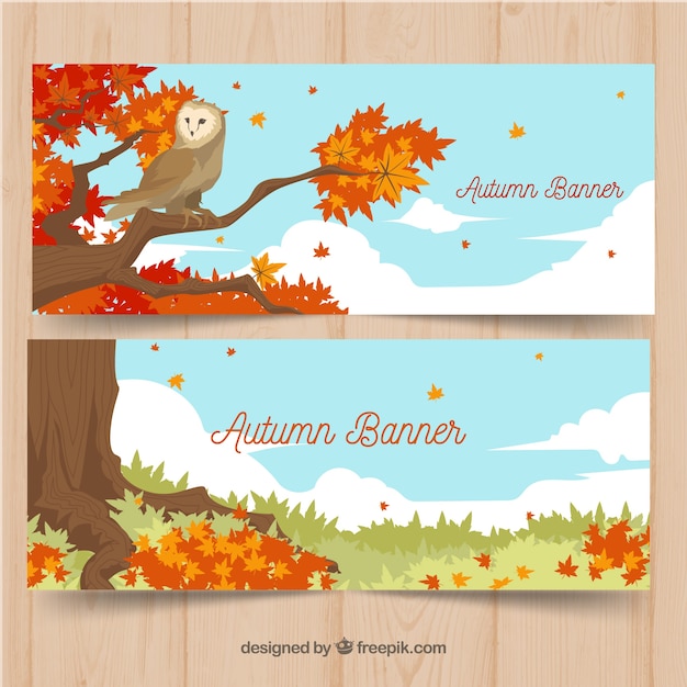 Осенние баннеры с пейзажем и совой