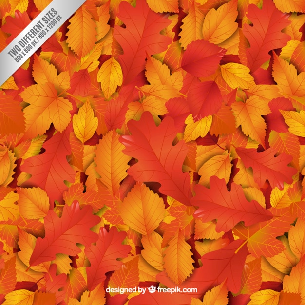 Autumnal leaves background