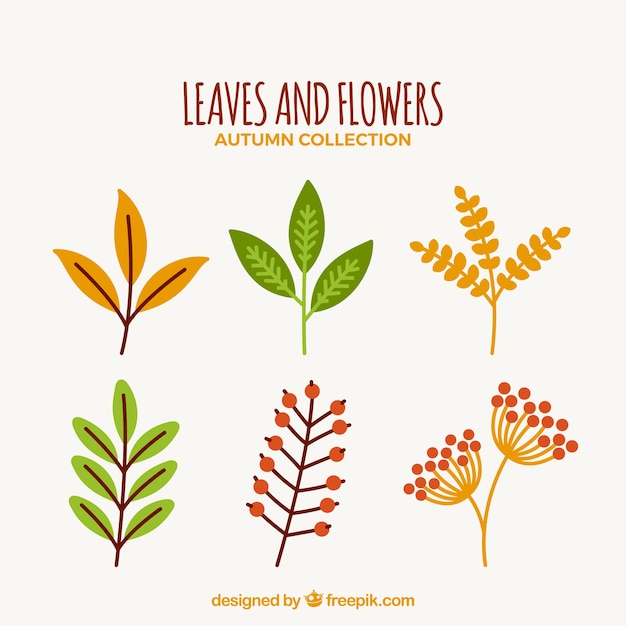 Free vector autumnal leaves and flowers with cute style